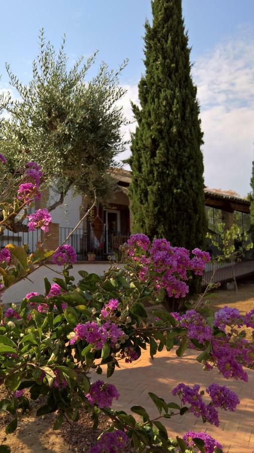 Casa Rural la Amistad Villa Burguillos de Toledo Exterior foto