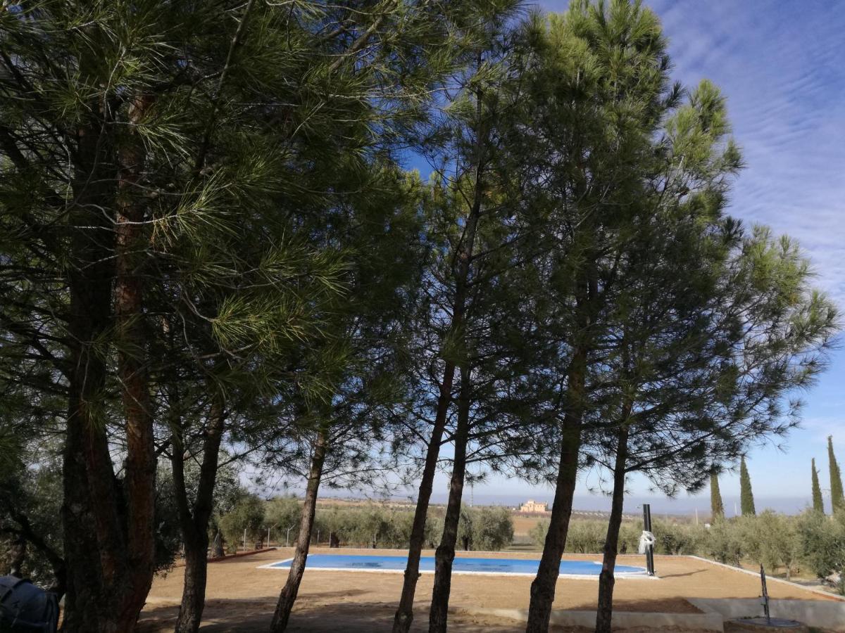 Casa Rural la Amistad Villa Burguillos de Toledo Exterior foto